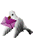 bird.gif